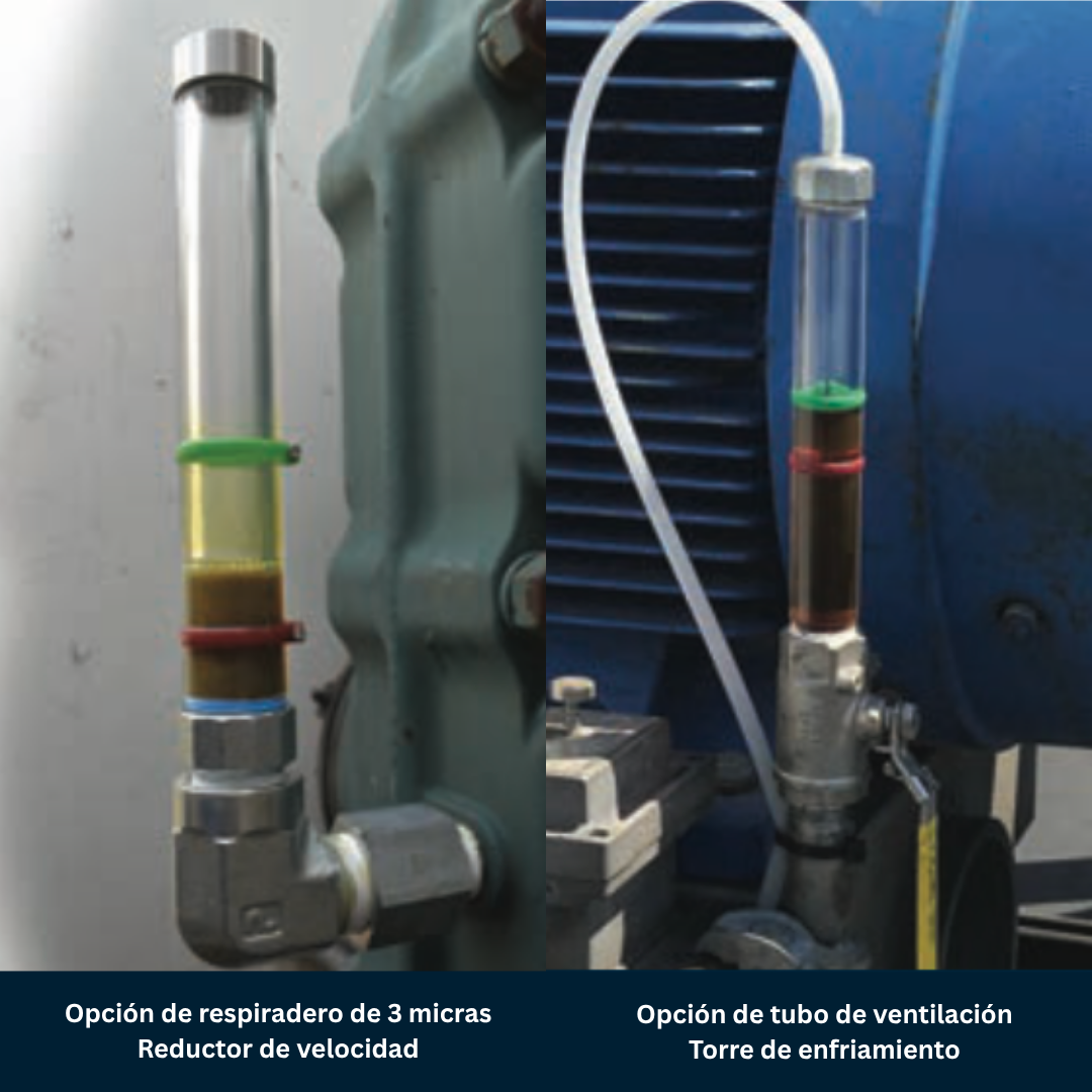 Columna
